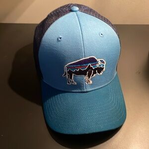 Patagonia Fitz Roy bison hat